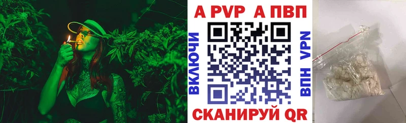 А ПВП крисы CK  Курчалой 