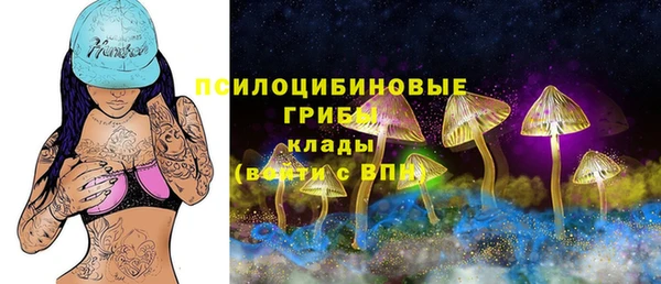 герыч Арсеньев