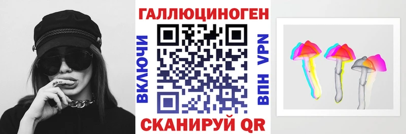 ссылка на мегу ССЫЛКА  Курчалой  Псилоцибиновые грибы Psilocybine cubensis 